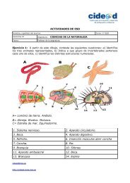 A= Lombriz de tierra. Anélido. B= Almeja. Bivalvo. Molusco. C ...