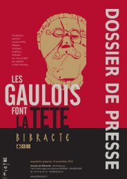 2010 - Les Gaulois font la tête - Bibracte
