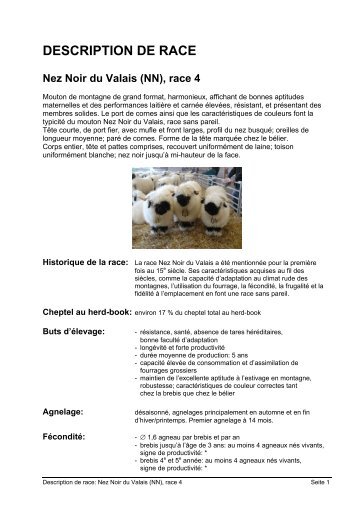 mouton Nez Noir du Valais