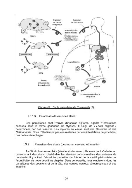 Ce document est le fruit d'un - Bibliothèques de l'Université de ...