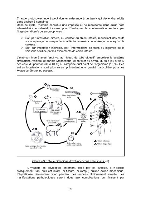 Ce document est le fruit d'un - Bibliothèques de l'Université de ...