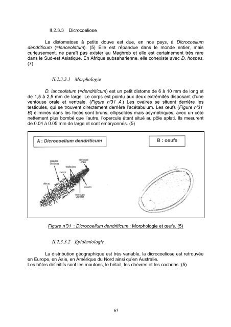 Ce document est le fruit d'un - Bibliothèques de l'Université de ...