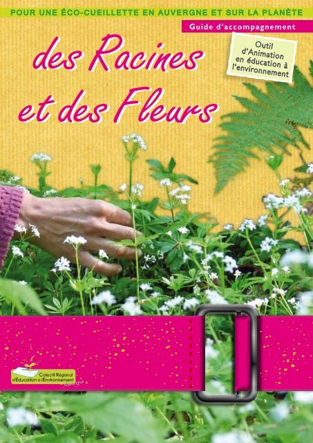 Livre - Plantes médicinales pour se soigner en Ardèche et ailleurs