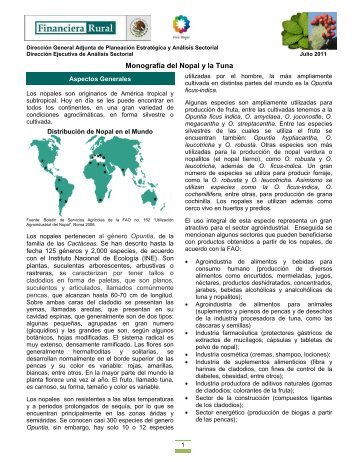 Monografía del Nopal y la Tuna - Financiera Rural