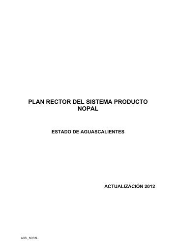 PLAN RECTOR DEL SISTEMA PRODUCTO NOPAL