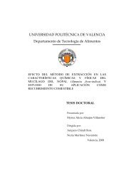 UNIVERSIDAD POLITÉCNICA DE VALENCIA Departamento de ...