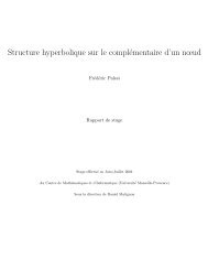 Structure hyperbolique sur le complémentaire d'un nœud - LATP