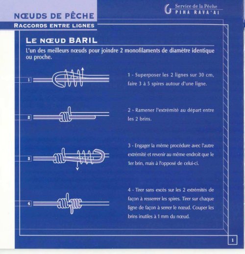 Brochure_Les_noeuds1.pdf
