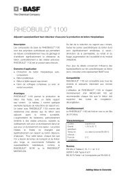 RHEOBUILD 1100 - BASF Construction Chemicals