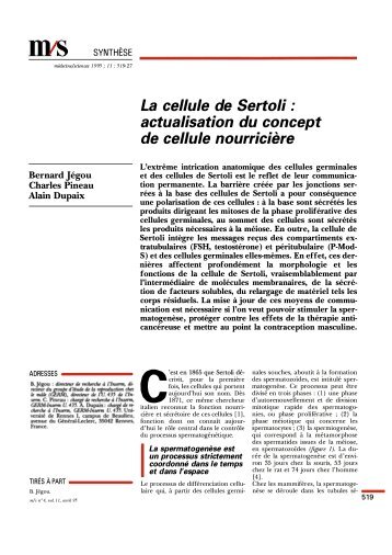 La cellule de Sertoli : actualisation du concept de ... - iPubli-Inserm