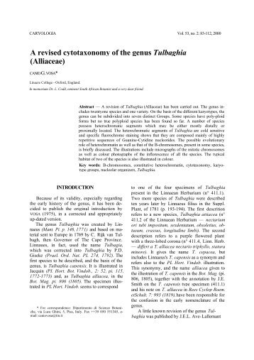 A revised cytotaxonomy of the genus Tulbaghia (Alliaceae)