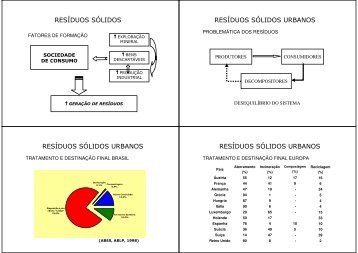 Sistemas de Incineração - UFSM