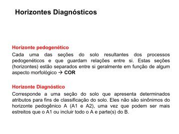 Horizontes Diagnósticos - AgronomiaUFS
