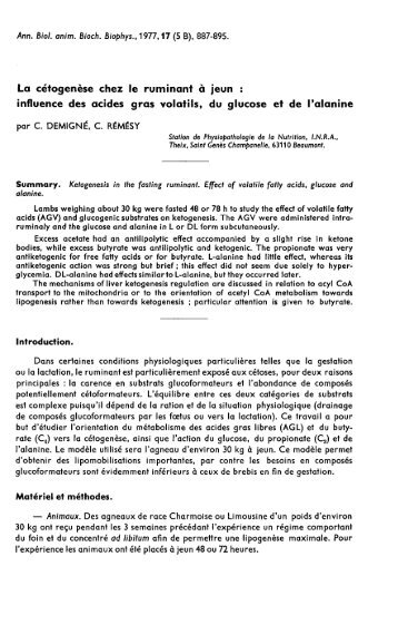 La cétogenèse chez le ruminant à jeun :