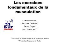 Les exercices fondamentaux de la musculation