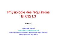 Cours 3 Physio L3 2013