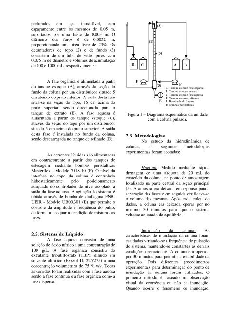 Estudo da Hidrodinâmica de Colunas Pulsadas Aplicada ao - UFSM