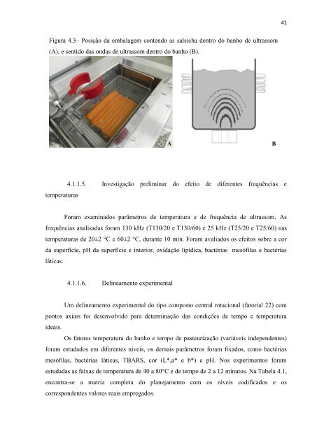 pasteurização de salsichas com ultrassom e micro-ondas - UFSM