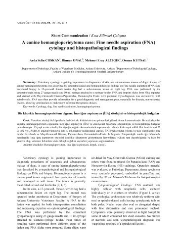 A canine hemangiopericytoma case: Fine needle aspiration (FNA ...