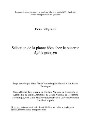 Sélection de la plante hôte chez le puceron Aphis gossypii - Inra