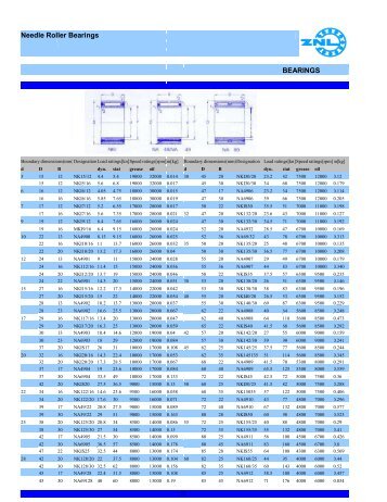 Needle Roller Bearings BEARINGS