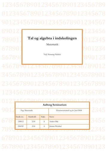 Tal og algebra i indskolingen (1.162kb pdf)