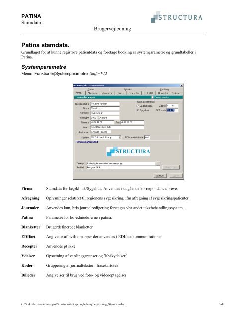 Patina stamdata. - Structura IT