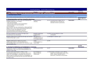 Bilag 2 - Tidsplan for handlingsplan