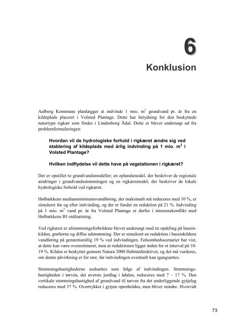 Rapporten - Søren Højmark Rasmussen