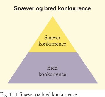 Kapitel 11 – Konkurrenceforhold - trojka.dk