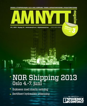 Amnytt utgave 3 – 2013 - AMNYTT - Amnytt.no