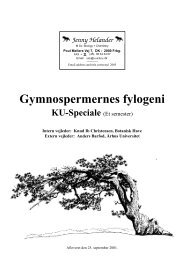 Spec. Forside. Gymnospermer - conifers.dk
