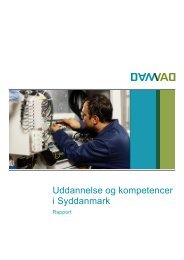 Uddannelse og kompetencer i Syddanmark - Damvad