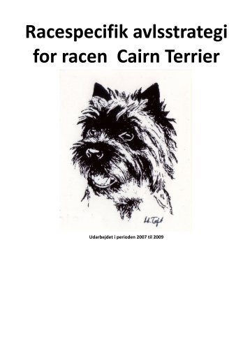 Racespecifik avlsstrategi for racen Cairn Terrier - Dansk Terrier Klub