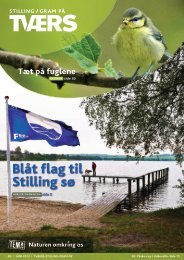 Blåt flag til Stilling sø - Stilling / Gram på TVÆRS