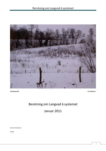 Beretning om Langvad å systemet Januar 2011 - Solrød Kommune