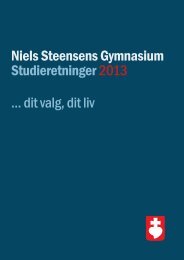 Studieretningsfolder.. - Niels Steensens Gymnasium