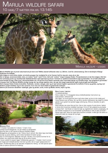 MARULA WILDLIFE SAFARI