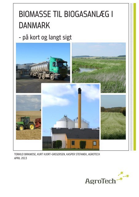 Biomasse til biogasanlæg i Danmark – på kort og ... - Energistyrelsen