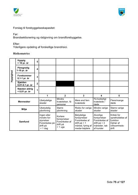 Risikobaseret dimensionering ver. 4 til politisk behandling