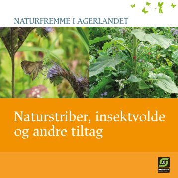 Naturstriber, insektvolde og andre tiltag - Økologisk Landsforening