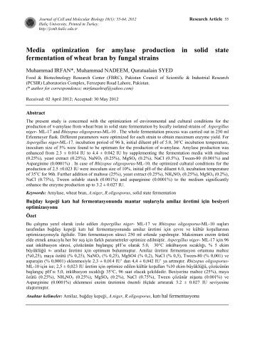 Media optimization for amylase production in solid state ...