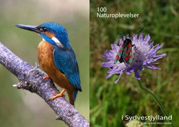 100 Naturoplevelser i Sydvestjylland - VisitVejen