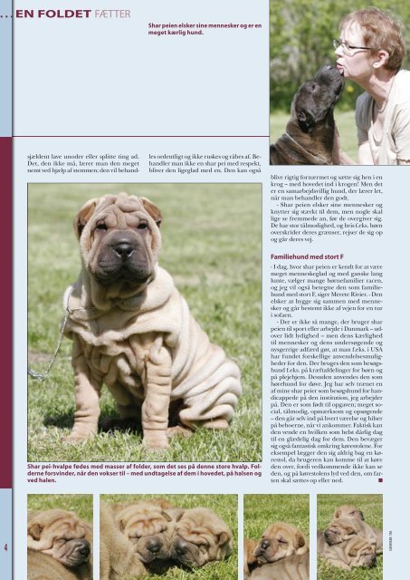 Shar pei - Hunden