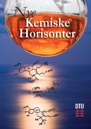 Nye Kemiske Horisonter - DTU Kemi - Danmarks Tekniske Universitet