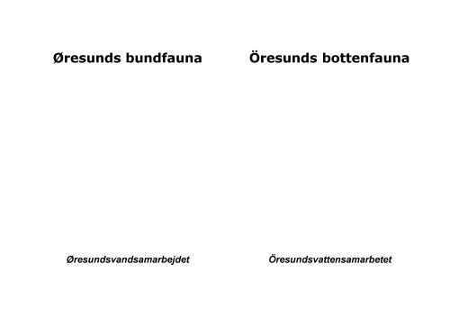 Øresunds bundfauna Öresunds bottenfauna