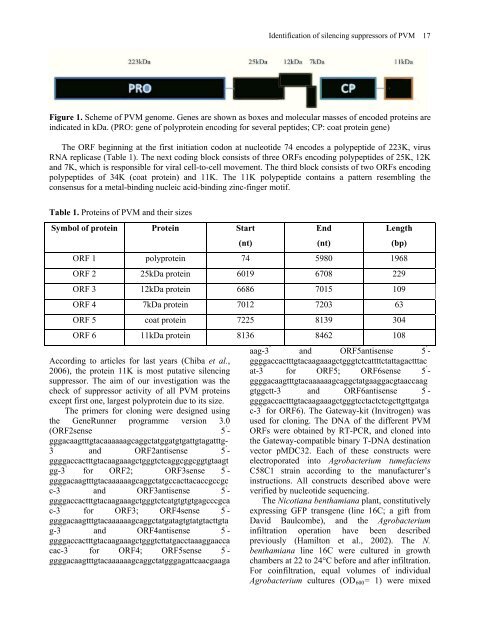 Vol 9 No1 - Journal of Cell and Molecular Biology - Haliç Üniversitesi