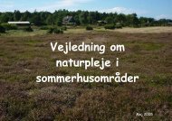 Vejledning om naturpleje i sommerhusområder - Odsherred Kommune