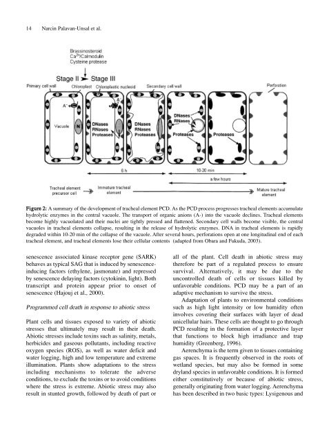 Full Journal - Journal of Cell and Molecular Biology - Haliç Üniversitesi