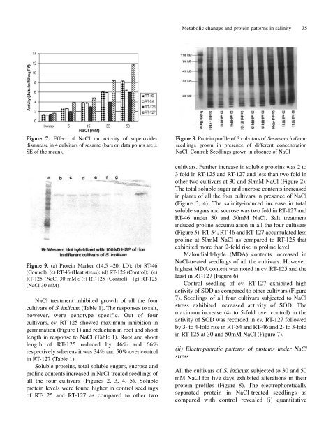 Full Journal - Journal of Cell and Molecular Biology - Haliç Üniversitesi